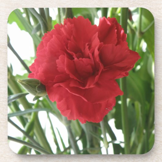Red Carnation Cork Untersetzer (Vorderseite)