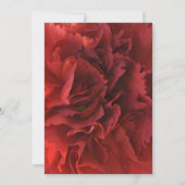 Red Carnation Floral Brautparty Einladung (Rückseite)