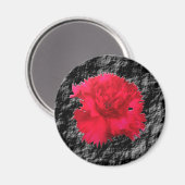Red Carnation Floral Fantasy Magnet (Vorderseite/Rückseite)