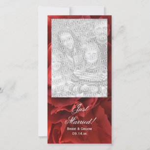 Red Carnation Floral Just Married Wedding Ankündigung