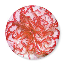 Red Carnation Magnet