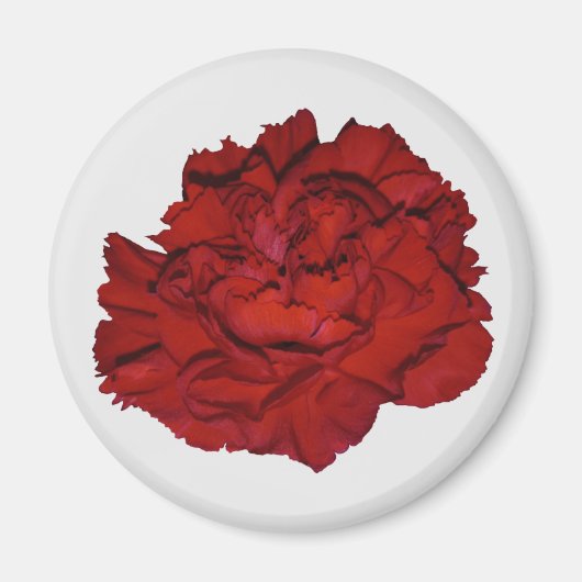 Red Carnation Magnet (Vorne)