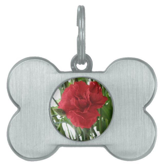 Red Carnation Pet Tag Tiermarke (Vorderseite)