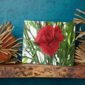 Red Carnation Plaque Fotoplatte (Seite)
