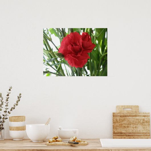 Red Carnation Print Poster (Küche)