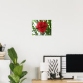 Red Carnation Print Poster (Heimbüro)