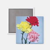 Red Carnation Study on white Blume Magnet (Vorderseite/Rückseite)