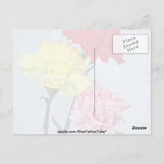 Red Carnation Study on white Blume Postkarte (Rückseite)