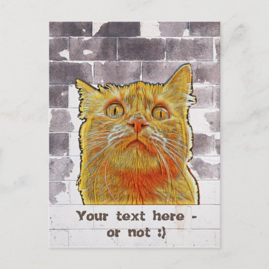 Red Cat in Trouble. Postkarte (Vorderseite)