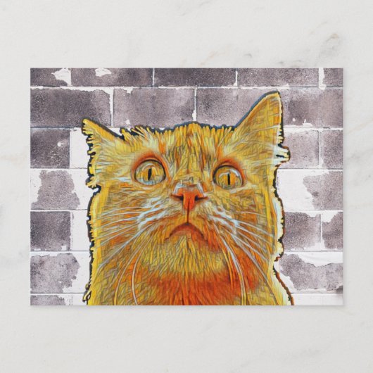 Red Cat in Trouble. Postkarte (Vorderseite)