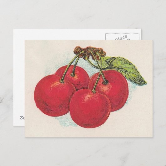 Red Cherries Postkarte (Vorne/Hinten)