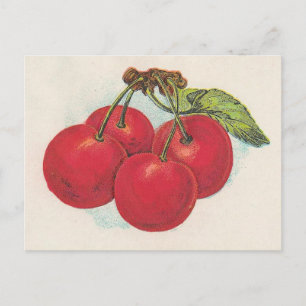 Red Cherries Postkarte