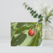 red cherry postkarte (Stehend Vorderseite)