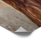 Red Chicken Hen Foto Poster (Ecke)