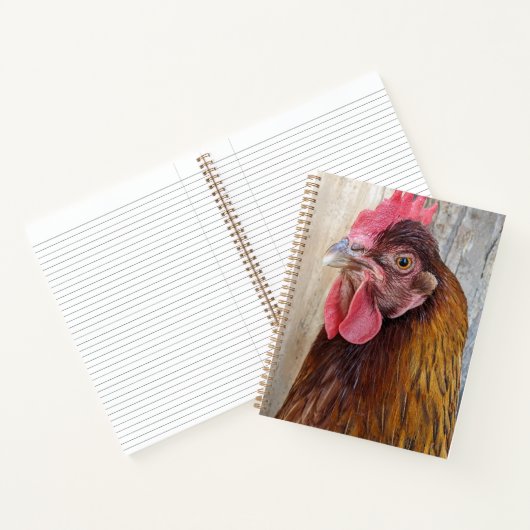 Red Chicken Hen Photo Notizblock (Innenseite)