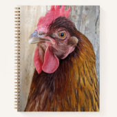 Red Chicken Hen Photo Notizblock (Vorderseite)