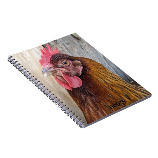 Red Chicken Hen Photo Notizblock (Rechte Seite)