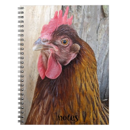 Red Chicken Hen Photo Notizblock (Vorderseite)