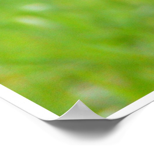 Red Chicken Poster Trimmbeak (Ecke)