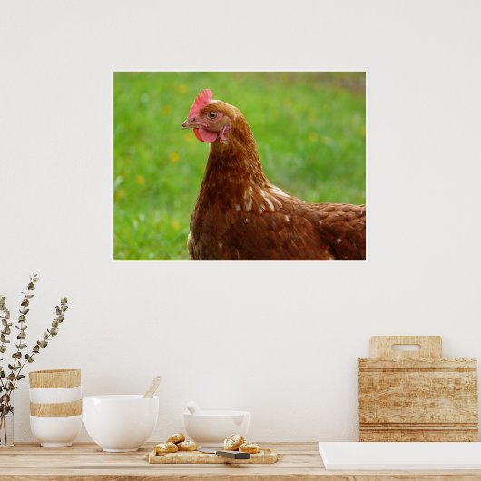 Red Chicken Poster Trimmbeak (Küche)