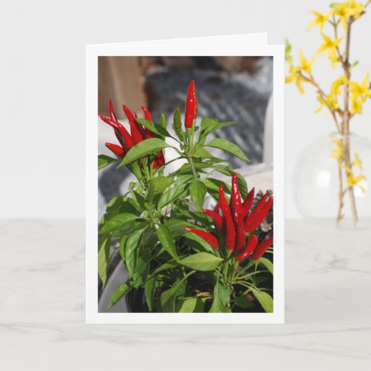 Red Chili Pepper Pflanze Karte (Gelbe Blume)