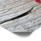 Red Chili Pepper Poster (Ecke)