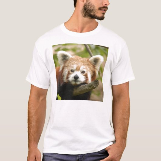 red-chinese-panda10x10 T-Shirt (Vorderseite)