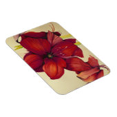 Red Christmas Amaryllis Foto Magnet (Rechte Seite)