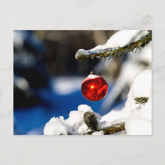 Red Christmas Ball, Sonnentag Postkarte (Vorderseite)