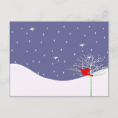 Red Christmas Bird Feiertagspostkarte (Vorderseite)