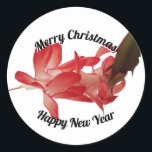 Red Christmas Cactus Floral Foto Frohe Weihnachten Runder Aufkleber<br><div class="desc">Auf diesem Aufkleber befindet sich ein roter Weihnachtskaktus,  der auf weißem Hintergrund erblüht,  ganz oben frohe Weihnachten und ganz unten Happy New Year. Der Text kann auf Wunsch in Ihre eigene Nachricht geändert werden. Wenn Sie Hilfe beim Personalisieren benötigen,  kontaktieren Sie mich bitte unter jen@jenaleefamilystorykeeper.com</div>