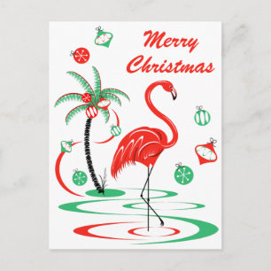 Red Christmas Flamingo Frory Weihnachtsportrait Feiertagspostkarte
