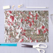 Red Christmas Holly Berries Snow WInter Decoupage Seidenpapier (Handwerk)