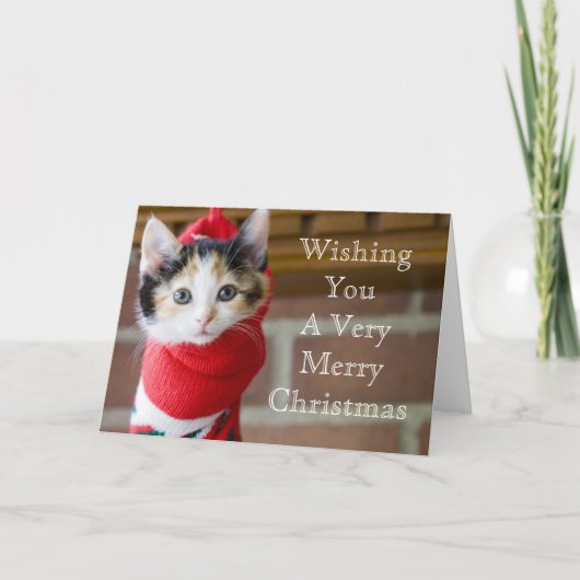 Red Christmas Kitten Feiertagskarte (Vorderseite)