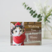 Red Christmas Kitten Feiertagspostkarte (Stehend Vorderseite)