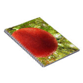 Red Christmas Ornament Bauble  Notizblock (Rechte Seite)