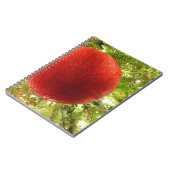 Red Christmas Ornament Bauble Notizblock (Linke Seite)