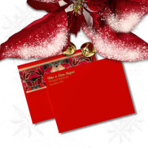 Red Christmas Poinsettia