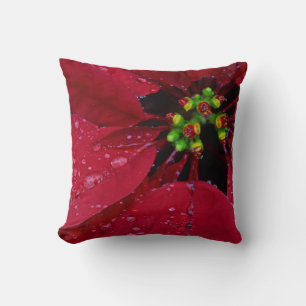 Red Christmas Poinsettia Kissen
