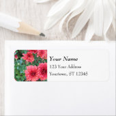 Red Chrysanthemum Blooms (Insitu)