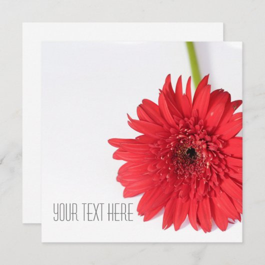 Red Chrysanthemum Ihre Text Flat Card (Vorne/Hinten)