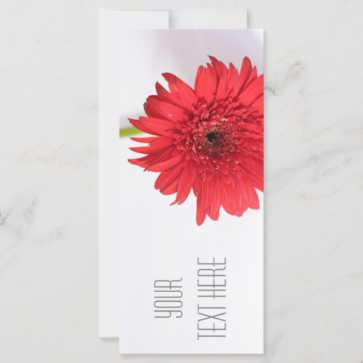 Red Chrysanthemum Ihre Text Flat Card (Vorderseite)