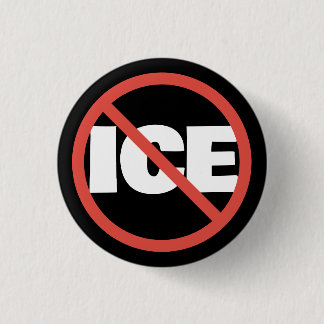 Red Circle Anti-Trump ICE Political Opinion Button