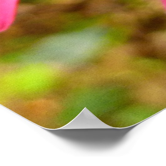 Red Clintonia Blume in Redwoods Poster (Ecke)