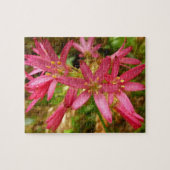 Red Clintonia Blume in Redwoods Puzzle (Horizontal)