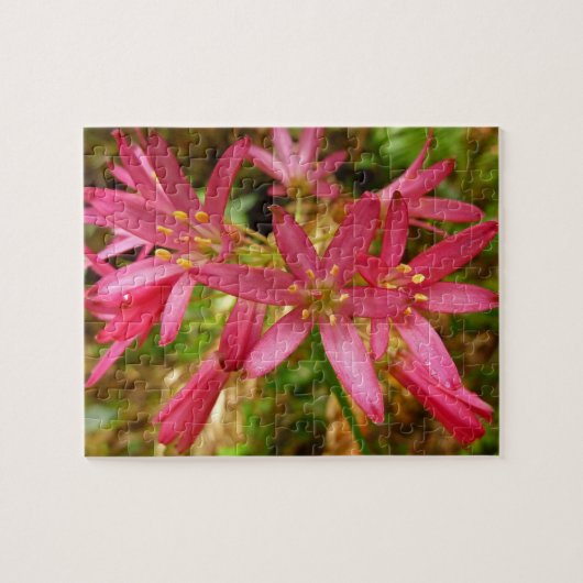 Red Clintonia Blume in Redwoods Puzzle (Horizontal)