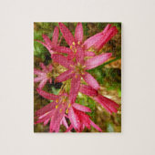 Red Clintonia Blume in Redwoods Puzzle (Vertikal)