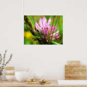 Red Closed Print Poster (Küche)