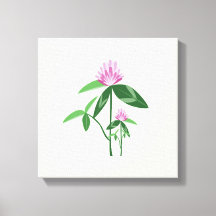 Red Clover Art Canvas Print
