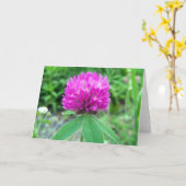 Red Clover Blossom 3 Grußkarte Karte (Gelbe Blume)